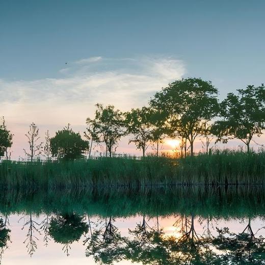 2晚/4晚 【苏州 | 湖畔秘境·微微联伙墅家同里社】水上白色艺术宫殿，集度假、疗愈、办公、亲子、文创于一身社群旅居空间，苏州周边度假优选！ 商品图5