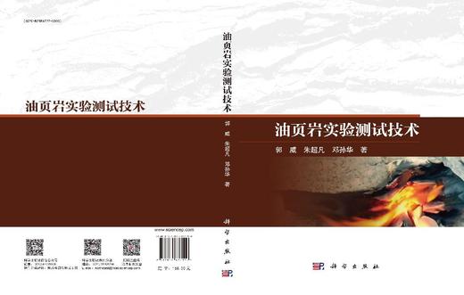 油页岩实验测试技术 商品图3