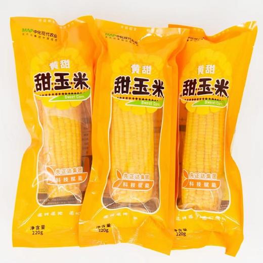 MAP·西北高原黄甜玉米/220g*8 商品图3