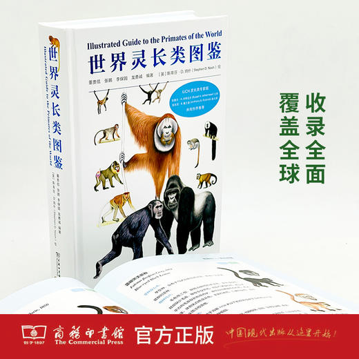 世界灵长类图鉴 商品图1