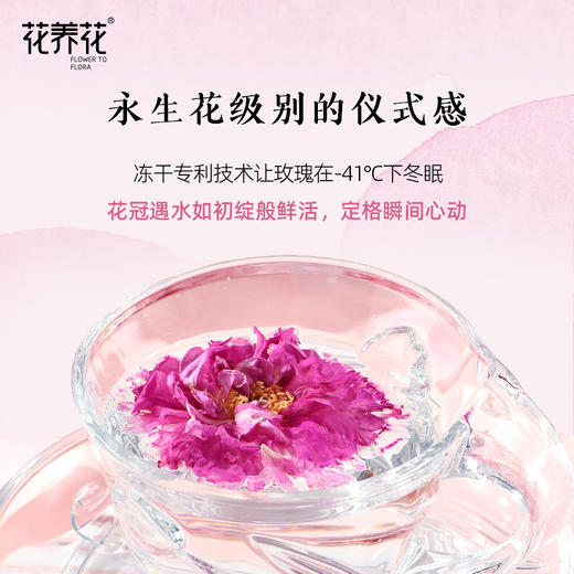 严选 | 花养花-41°C冻干玫瑰鲜花茶 16g*2瓶  月光玫瑰 晨露采摘 商品图2