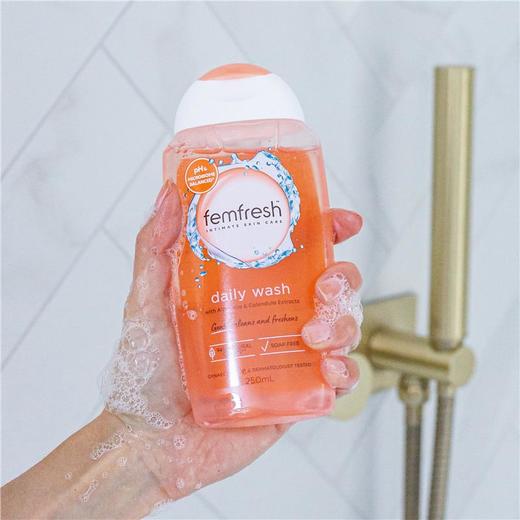 Femfresh女性私处洗液祛味妇科芦荟洋甘菊250ml 商品图1