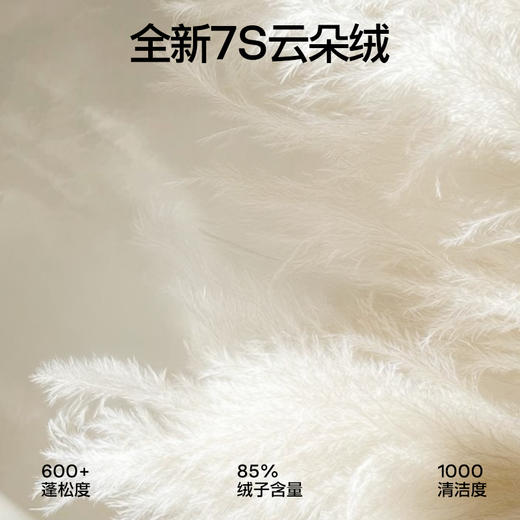 SIINSIIN短款泡芙羽绒服女士冬季保暖加厚时尚立领云朵面包服外套 商品图1