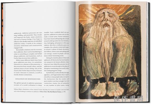 The 12 Steps. Symbols  Myths  and Archetypes of Recovery / 十二步骤：康复的符号、神话与原型 / Taschen 原版画册 商品图2