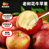 西域美农 花牛苹果 口感香甜 颜色深红 粉面甜 宝宝辅食 商品缩略图0