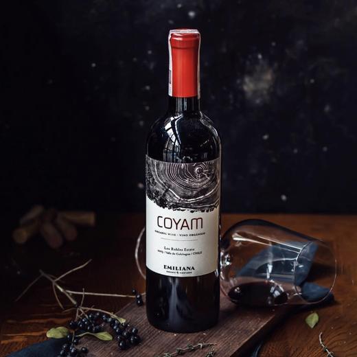 干露旗下！TA96高分 埃米利亚纳柯雅干红 Emiliana Coyam 2022【世界十大有机葡萄酒之一】 商品图3