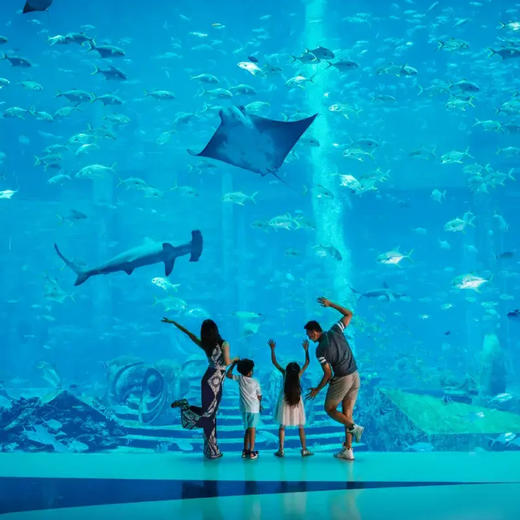 【春季大促】三亚亚特兰蒂斯酒店，三亚亲子度假胜地，一段全家难忘的海洋奇幻之旅，水世界水族馆畅玩 商品图4