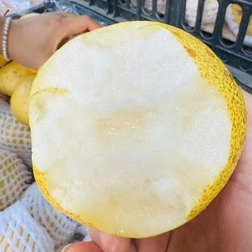 【山野蜂蜜梨】只要吃一口就知道是好梨，汁水特别足！多吃梨润肺 防呼吸道疾病[胜利] 商品图3