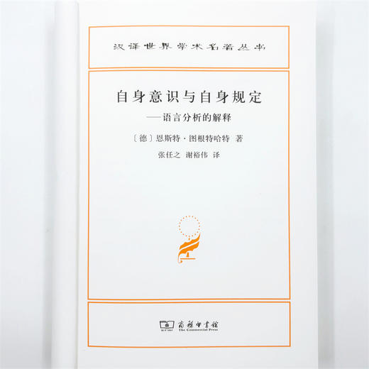 自身意识与自身规定：语言分析的解释(汉译名著本23) 商品图6
