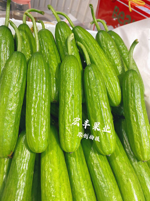 【宏丰精选】水果小黄瓜 清爽可口 可直接生吃  活动价8.8一斤 商品图1