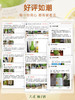 小花样久造柚子酒 商品缩略图6