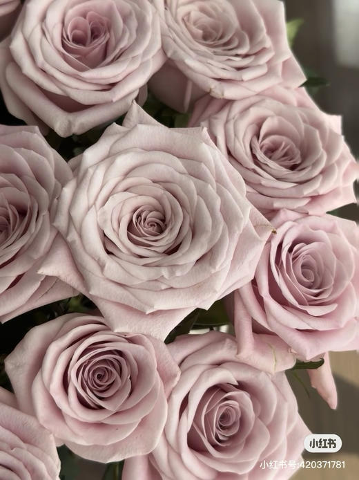 佰盛美曼塔 商品图0