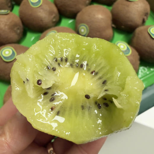 瑞玉阳光猕猴桃 商品图1