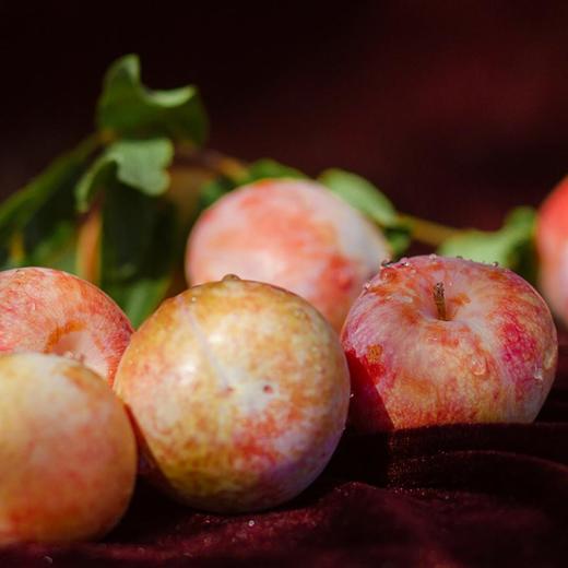 新疆红宝石恐龙蛋18枚礼盒装（单果70g+） 商品图2