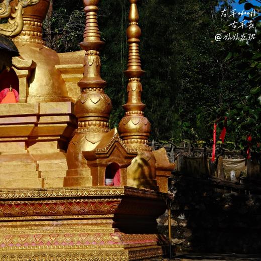 暖冬普洱，茶香咖醇！开启跨越古寨、茶林与咖啡庄园的生命对话 商品图8