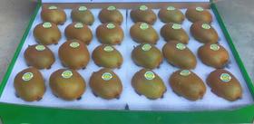 翠香猕猴桃24粒装【MJ】