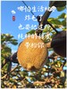 朴愿甄选  有机瑞玉猕猴桃 商品缩略图0