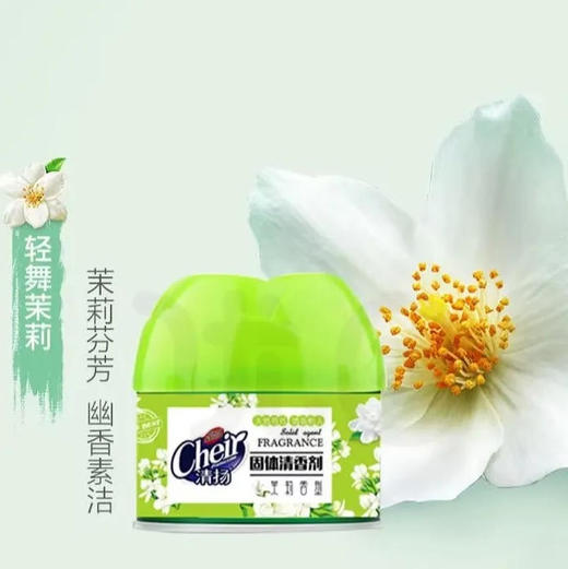 【清新剂】清扬 固体清香胶空气清新剂家用卫生巾汽车除味(沁心茉莉) 100g/个 商品图0