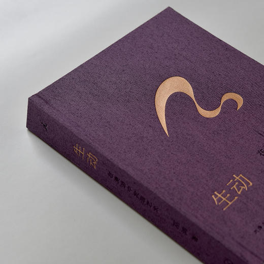 《偶遇·在漫游中感受艺术》《生动：在漫游中发现艺术》 商品图10