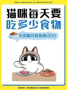 猫咪每天要吃多少食物