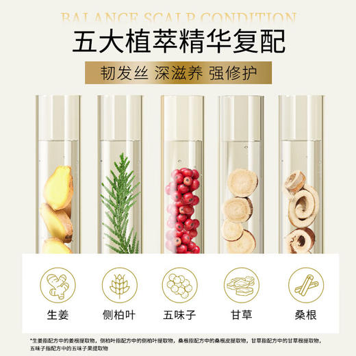 【分仓直发包邮】滋源生姜丰盈韧养防断护发素535ml(不分中干和油) 商品图3