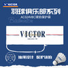 VICTOR威克多胜利俱乐部系列羽毛球拍保护袋单支装抽绳式球拍袋AC024VBC 商品缩略图0