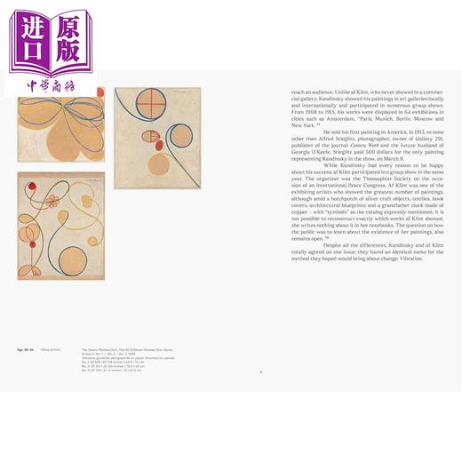 【中商原版】Dreams Of The Future 进口艺术 希尔玛阿夫 克林特与瓦西里 康定斯基：未来之梦 商品图3