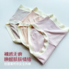 壁虎瑜伽【2511PJ444】抗菌莫代尔女士内裤【5天发货】 商品缩略图0