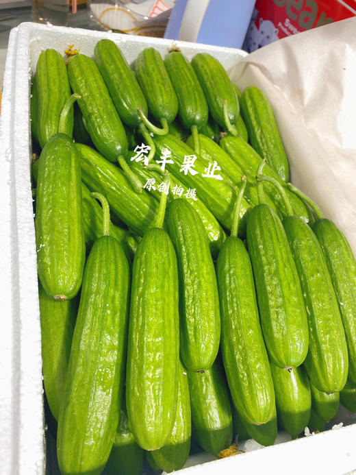 【宏丰精选】水果小黄瓜 清爽可口 可直接生吃  活动价8.8一斤 商品图3