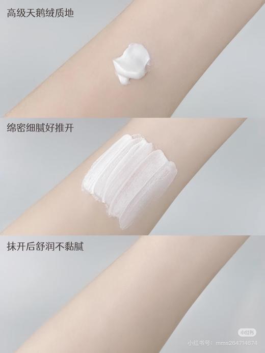 Tom&Mark妆前面霜（实际五年可用到28.6） 商品图7