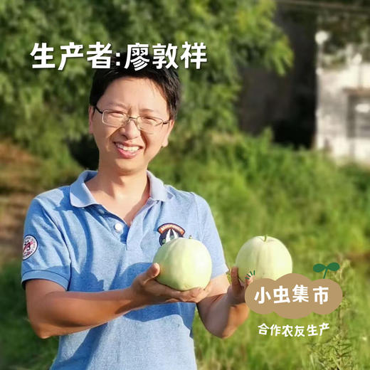 湖南生态青皮甘蔗5斤 | 合作农友生产，来自湖南邵阳，生产者：廖敦祥 *【公平贸易农人定价】 商品图3