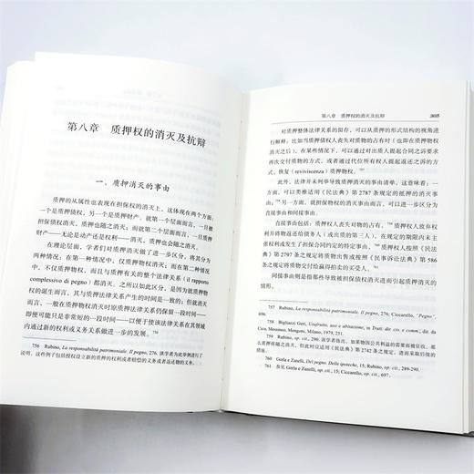 担保物权制度(意大利民商法丛书) 商品图7