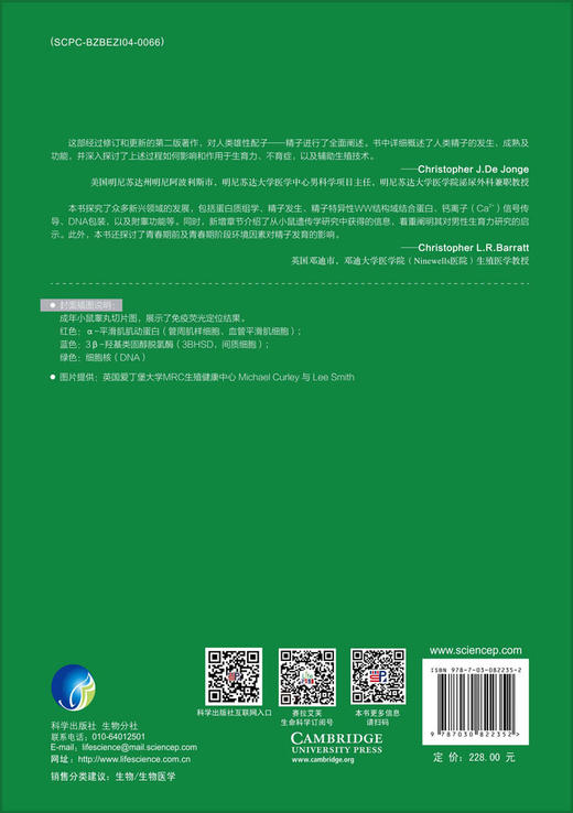 精子细胞:生成、成熟、受精、再生（原书第二版） 商品图1