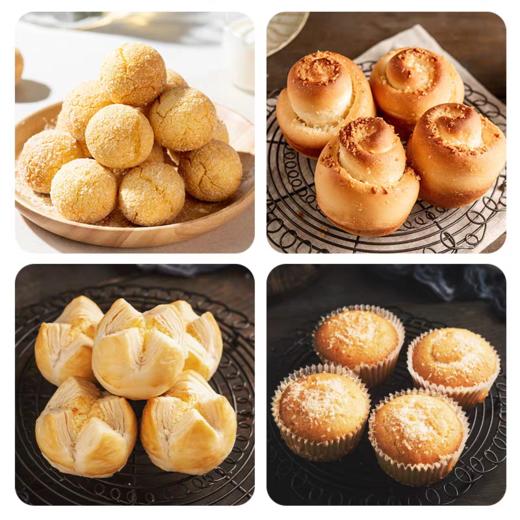 百钻全脂椰蓉100g  面包蛋糕装饰糯米糍椰蓉小方原材料 椰蓉 商品图4