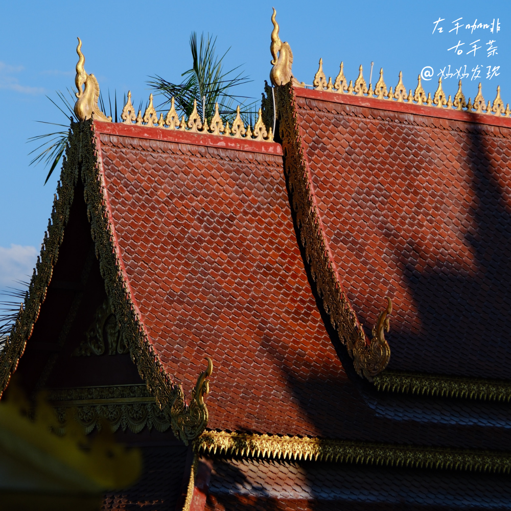 暖冬普洱，茶香咖醇！开启跨越古寨、茶林与咖啡庄园的生命对话