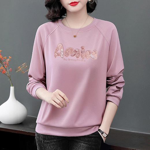 圆领卫衣女长袖春秋季2026年新款大码胖mm宽松t恤打底衫套头上衣 商品图1