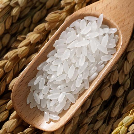 【虞日鲜五常大米】 核心产区传统农耕农法种植 执行标准GB/T19266【非稻花香】 商品图1