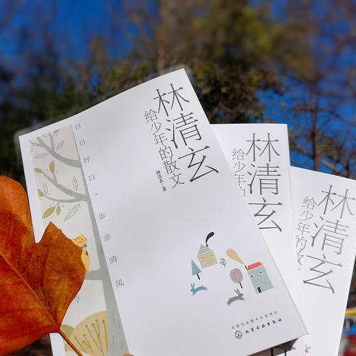 林清玄给少年的散文：大字版（套装共3册） 商品图8