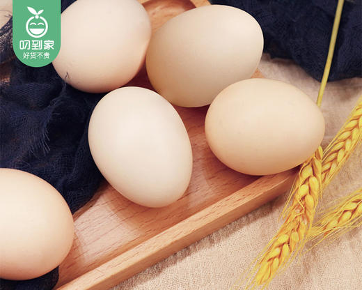 光阳可生食鲜鸡蛋/1份（500g*3盒，每盒10枚）生产日期：12月23日左右 商品图1
