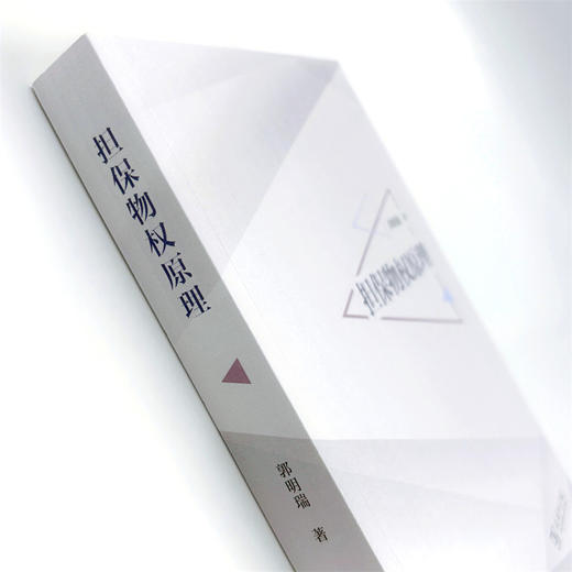 担保物权原理 商品图4