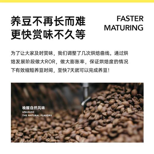 明谦埃塞俄比亚莓屿来信SOE咖啡豆日晒耶加雪菲咖啡意式黑咖啡 商品图3