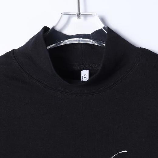 SDSA男士秋冬新款痞帅男装简约印花字母花卉半高领长袖T恤百搭潮 商品图1