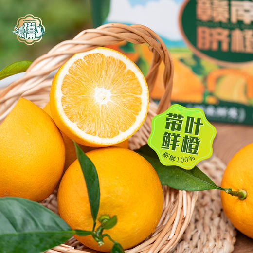 【顺丰快递】寻乌赣南脐橙 树上熟 拒绝催熟 现摘现发 可食率达85% 含果汁55%+ 无农残无激素无染色不打蜡 - ACS 商品图1