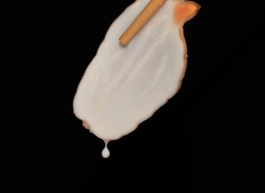 【新鲜乌天麻】云南昭通小草坝林下仿野生种植乌天麻 原始森林 林下生长三年  顺丰发货 商品图1