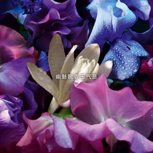 娇兰 东方夜谭淡香精（奇迹花园香型）125ml  G062126-F 商品图1