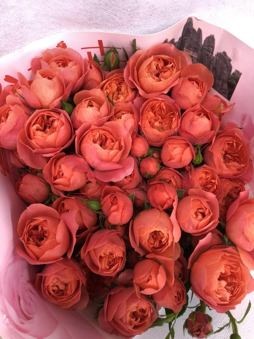 多头玫瑰.杏色果汁 商品图2