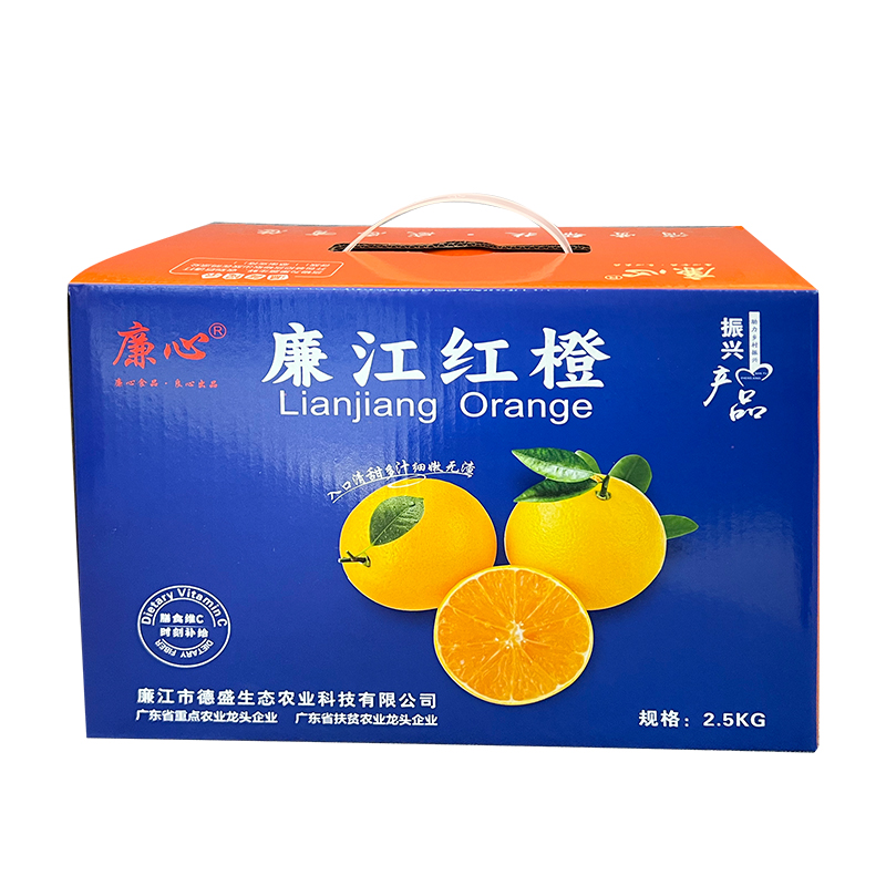廉心廉江红橙2.5kg
