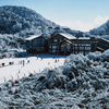 【冰雪金佛山·青春旅行团】南川金佛山赏雪1日游 商品缩略图2