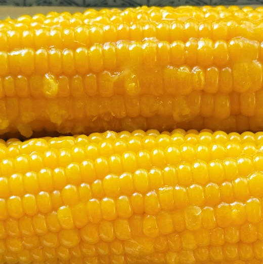 一块方田甜糯玉米真空袋装中通快递包邮下单从吉林发货 商品图1