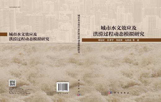 城市水文效应及洪涝过程动态模拟研究 商品图3